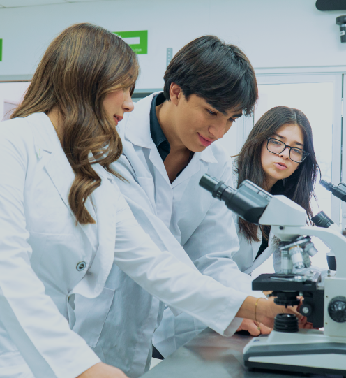 Estudiantes de preparatoria